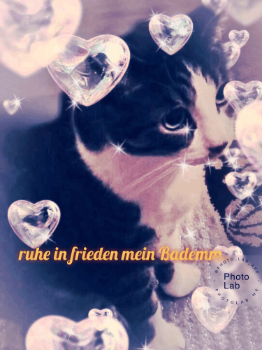 Image from Badem