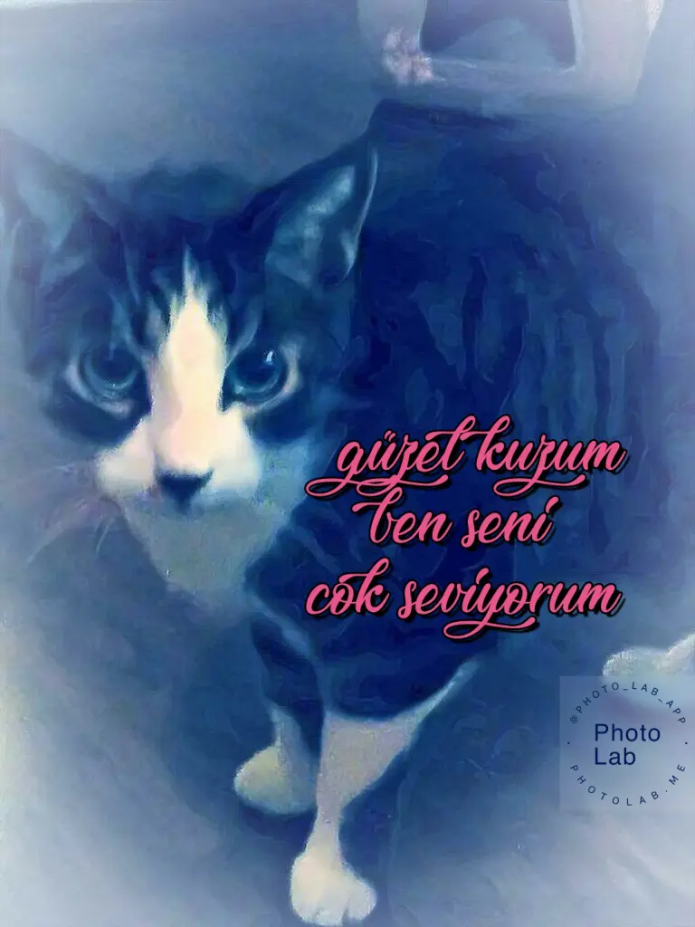 Image from Badem