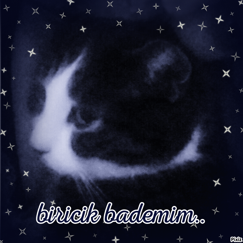 Image from Badem