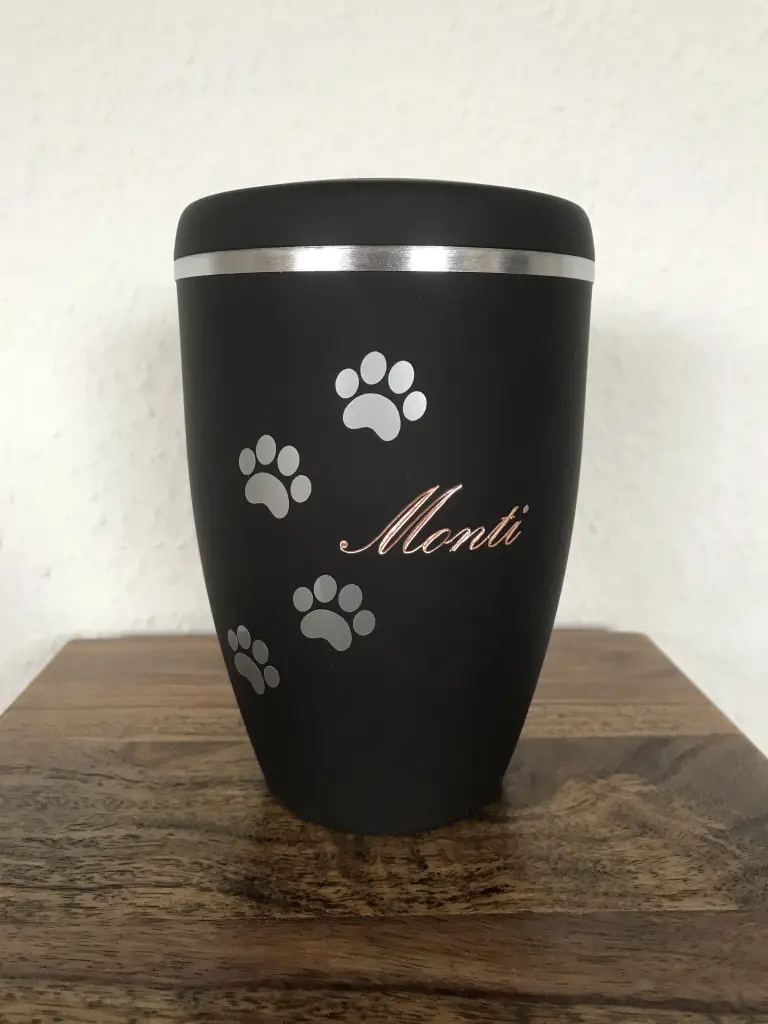 Image from Monti