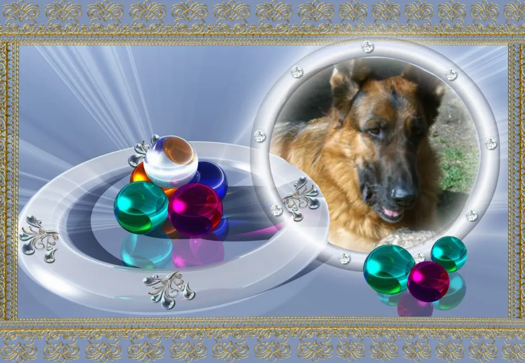 Condolence image of Klaudia mit Misiu❤❤❤Ganz Tief im Herzen❤