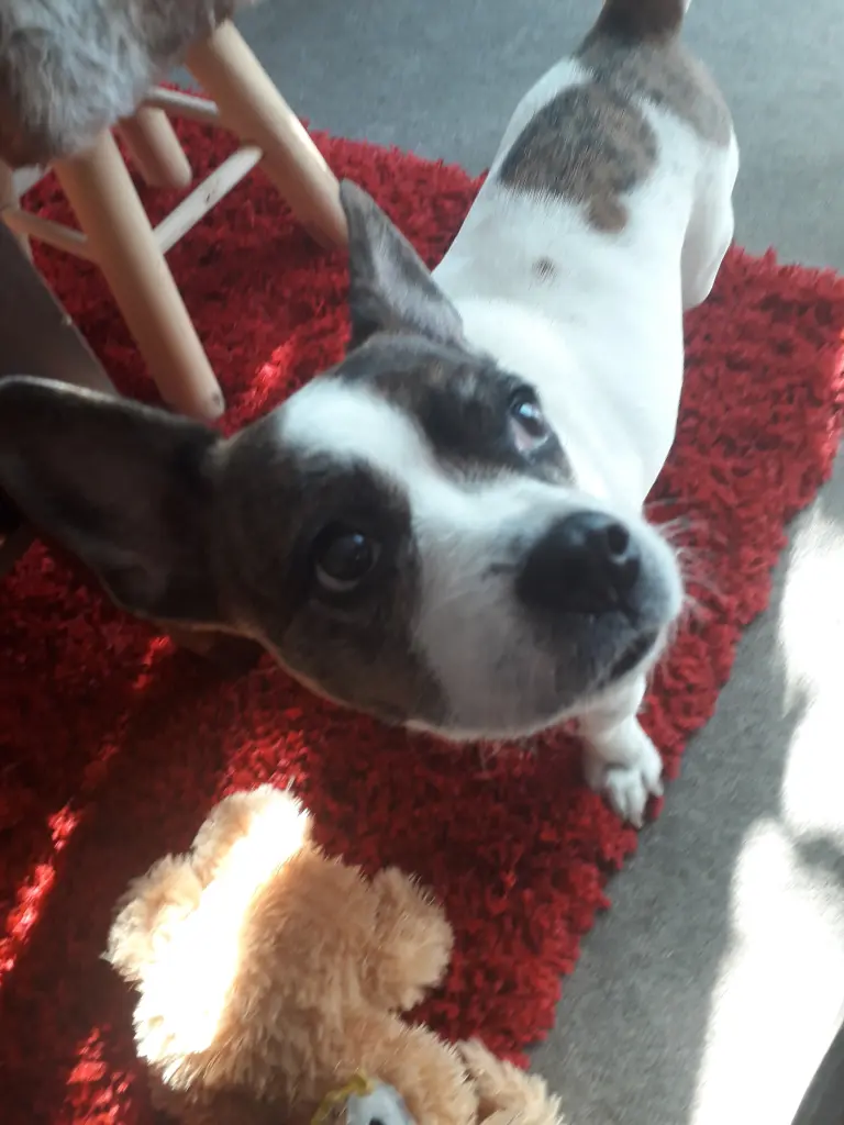 Image from Buffy