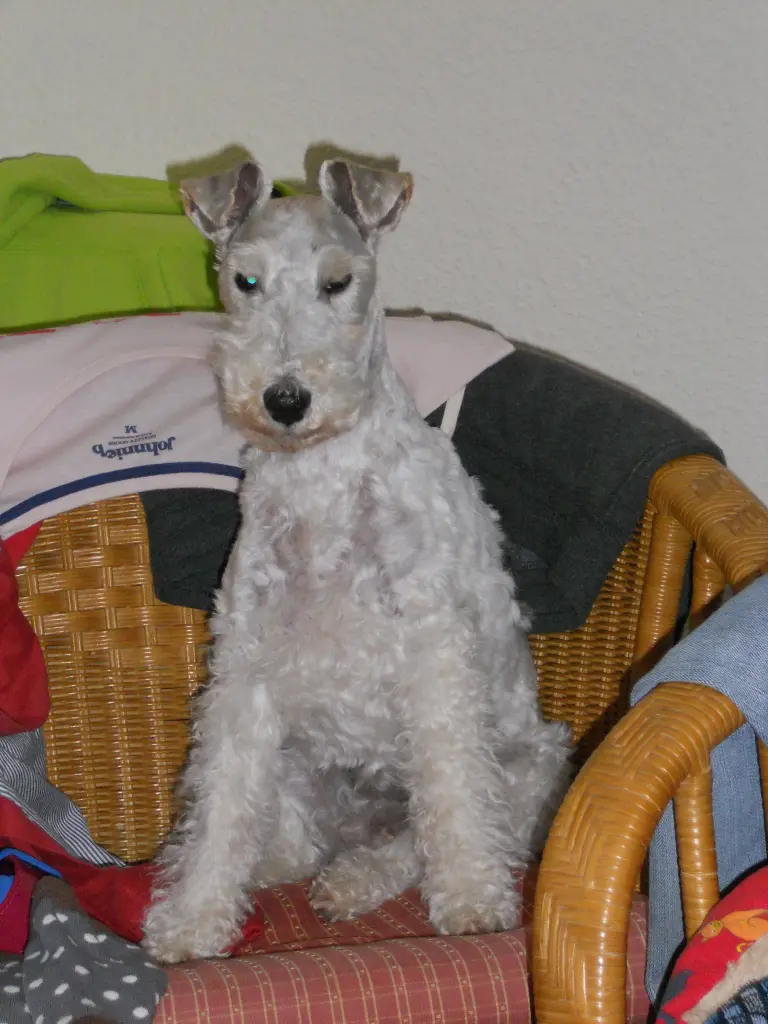 Image from Pilar