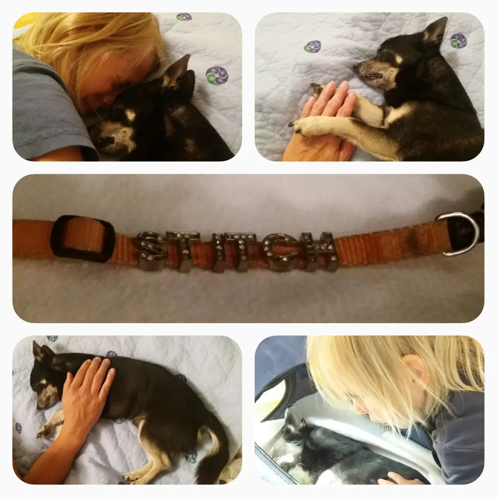 Image from Stitch