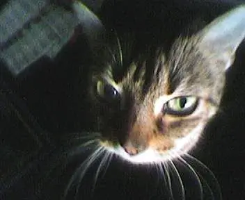 Image from MINKE  (ehemals Puschkin)