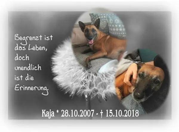 Condolence image of Iris