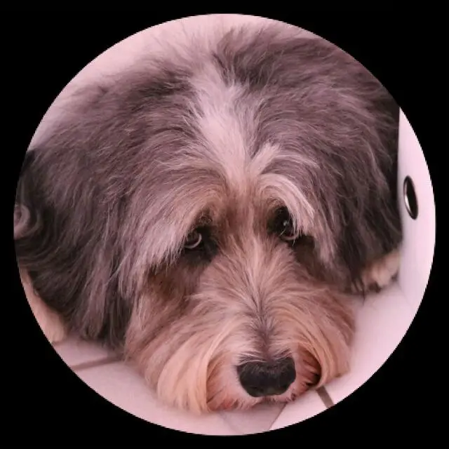 Image from Balu