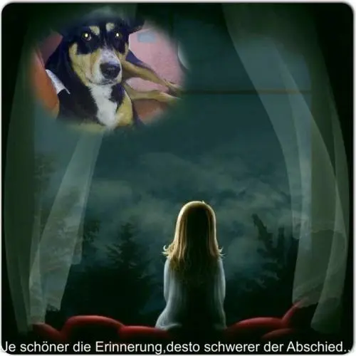 Image from Sally