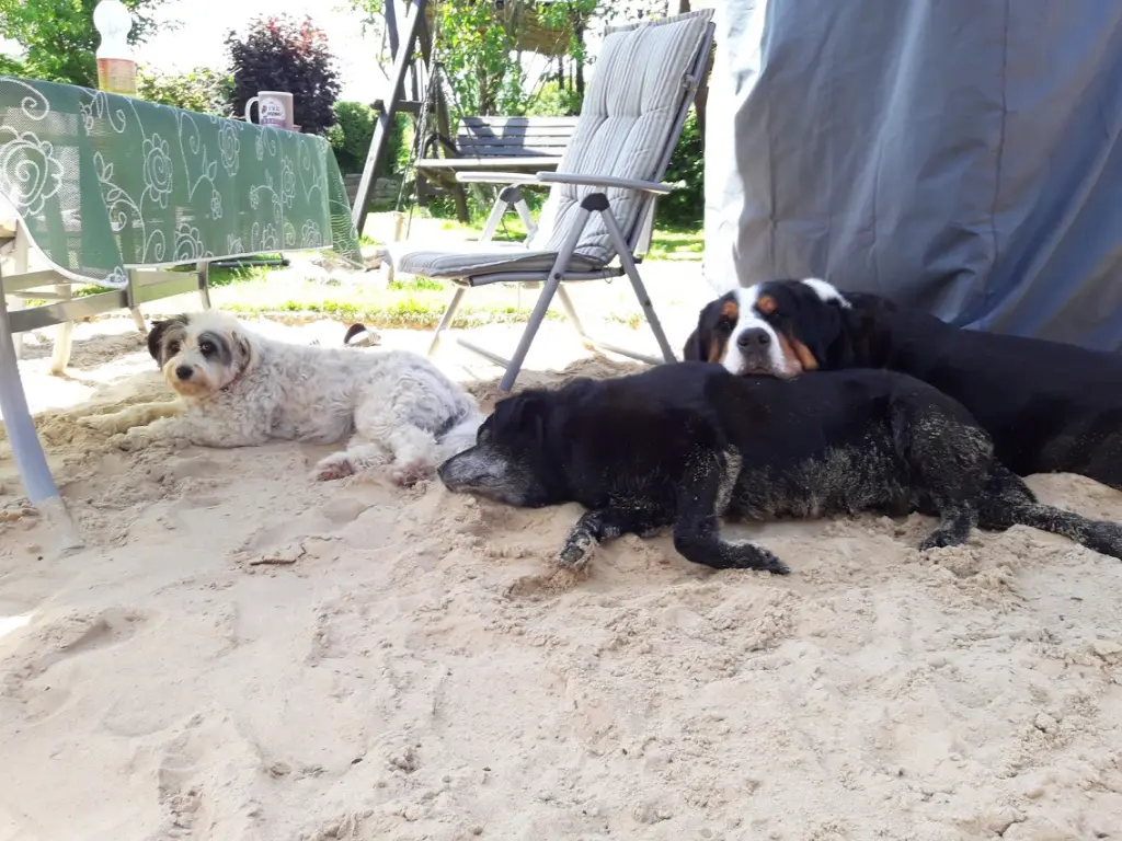 Image from Balou