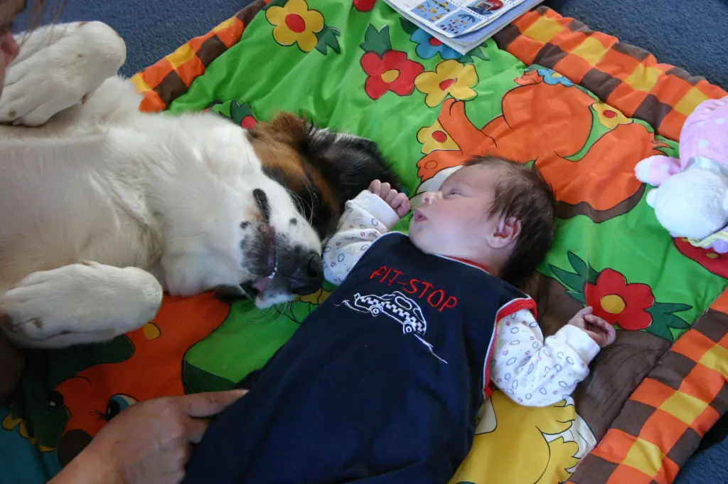 Image from Oskar