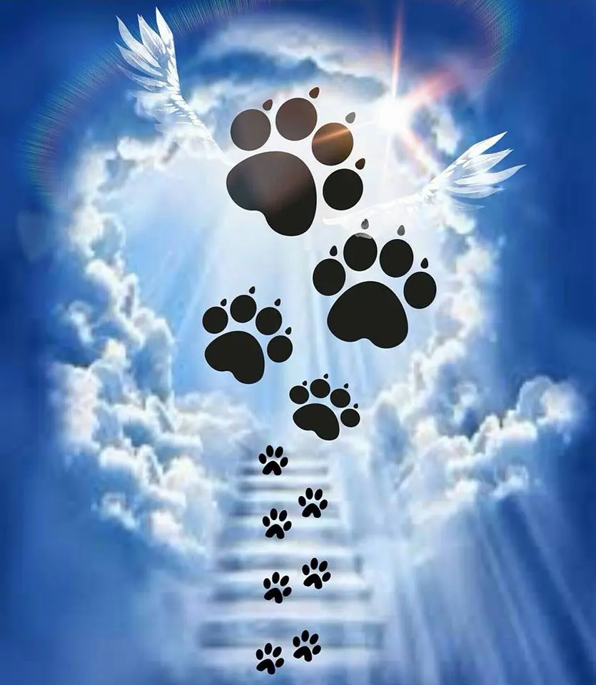 Condolence image of Gisela
