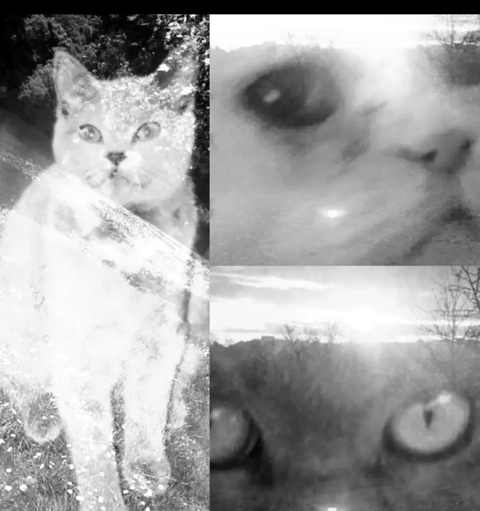 Andachtsbild von Unbekannt