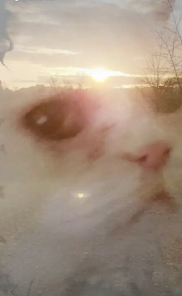 Andachtsbild von Unbekannt