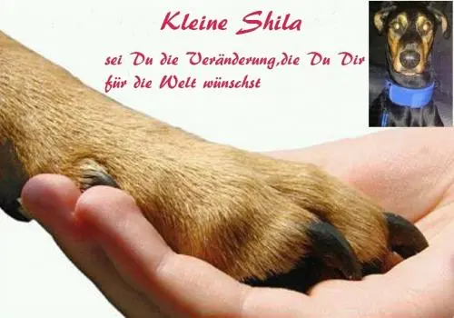 Image from Shila