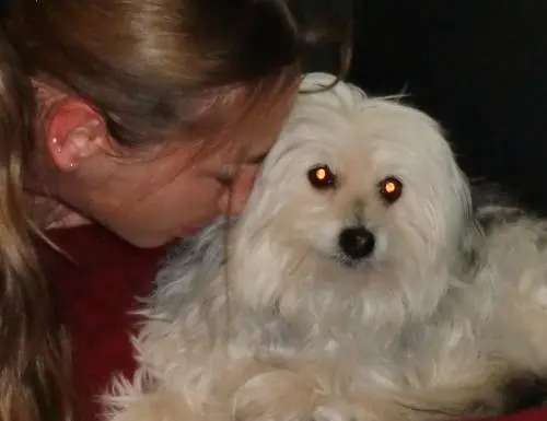 Image from Daisy my big love:*