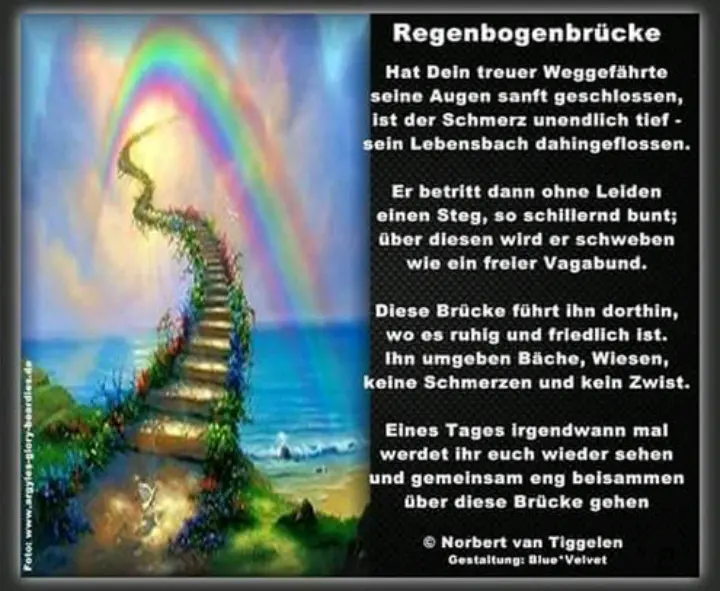 Condolence image of Friederieke Kober