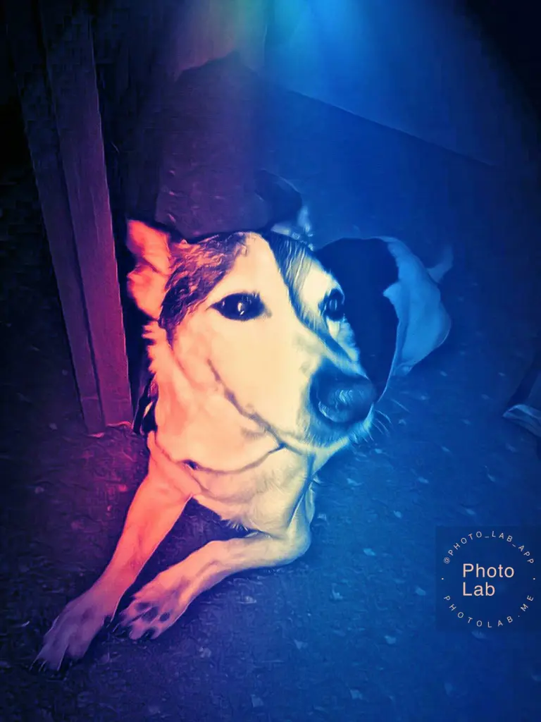 Image from Lucky