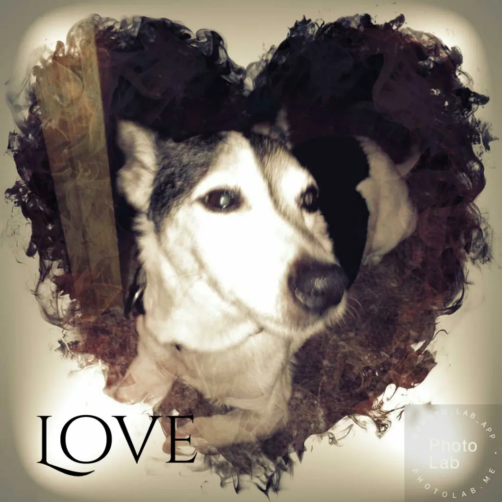 Image from Lucky
