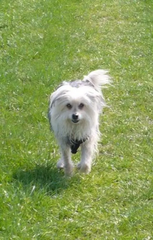 Image from Daisy my big love:*