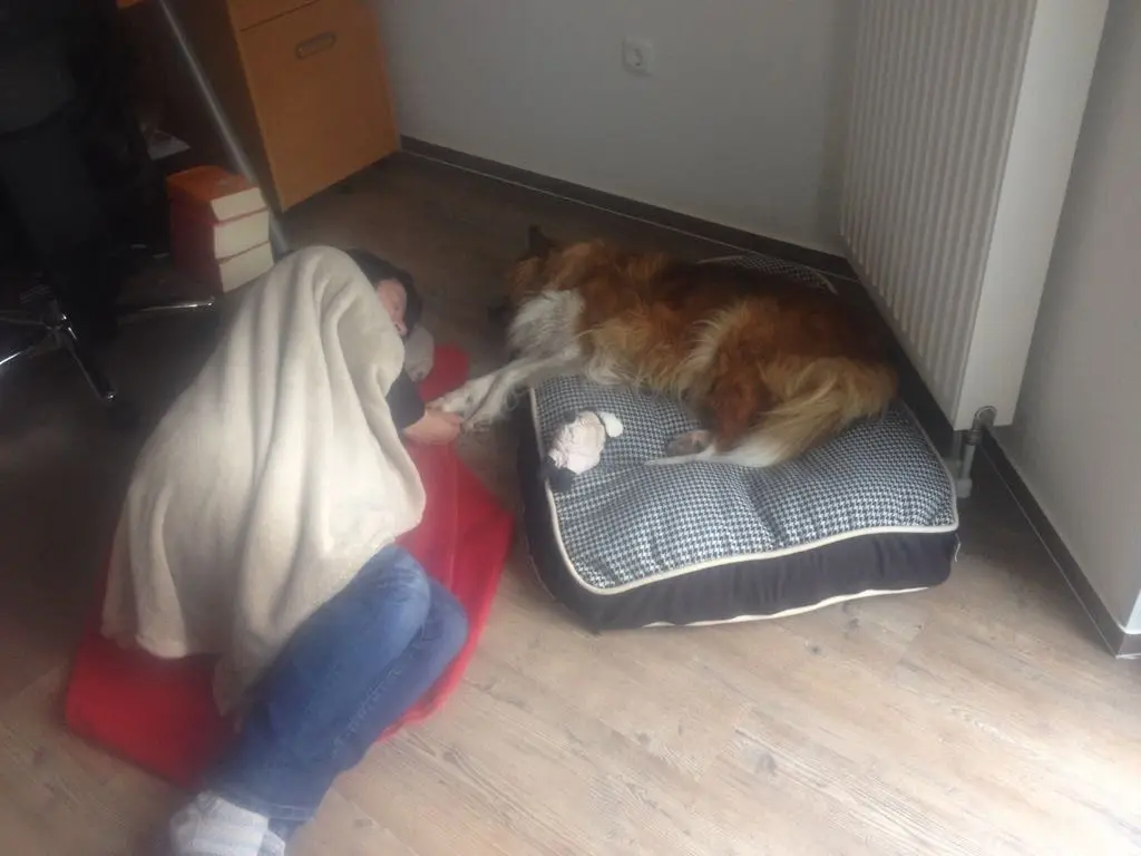 Condolence image of Katharina mit Merle im Herzen
