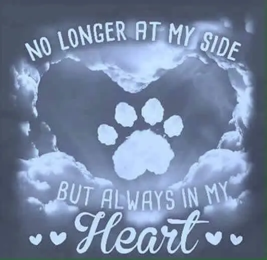Condolence image of Brigitte