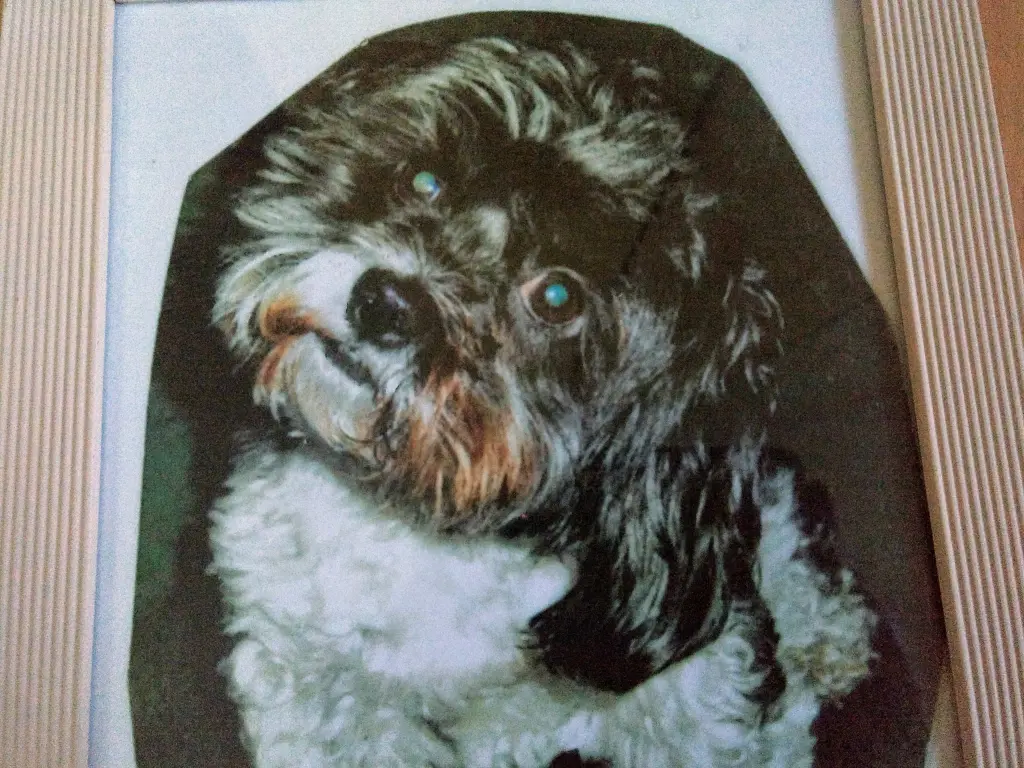 Condolence image of Sigrid