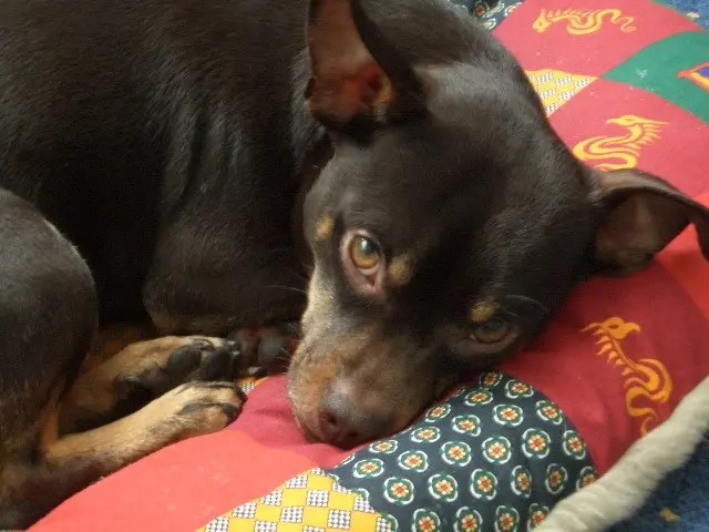 Condolence image of mama