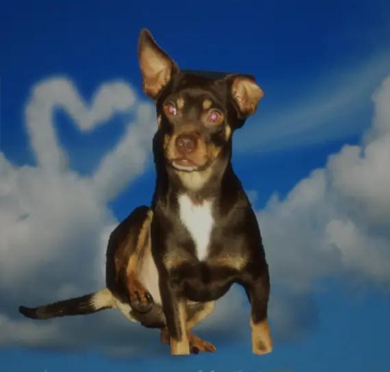Condolence image of Mama
