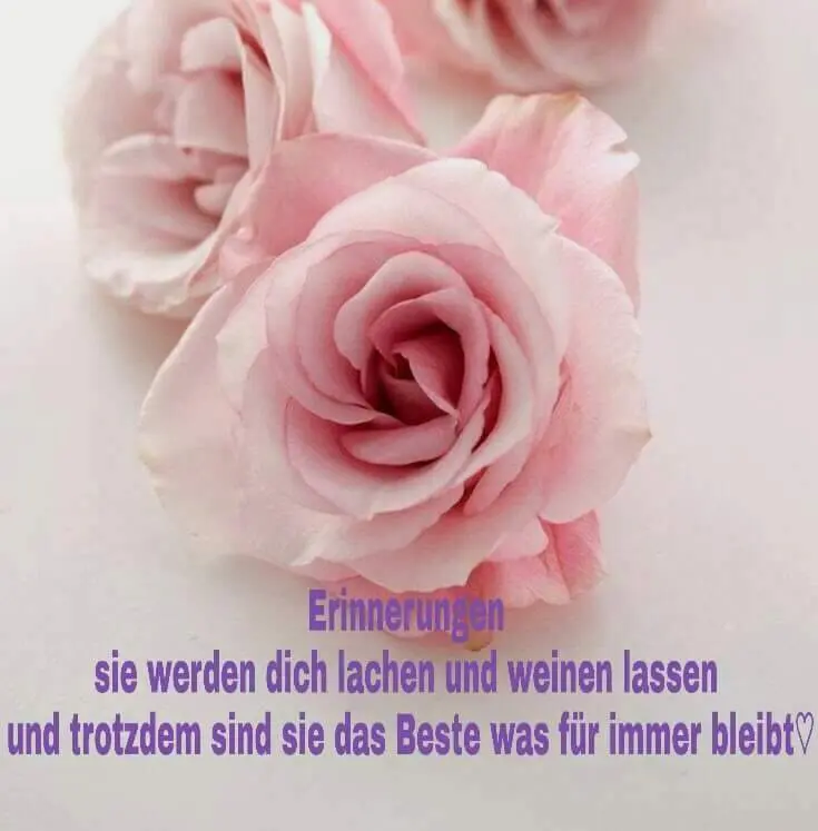 Andachtsbild von Silke mit Pix