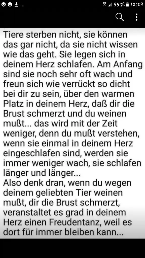 Andachtsbild von Petra