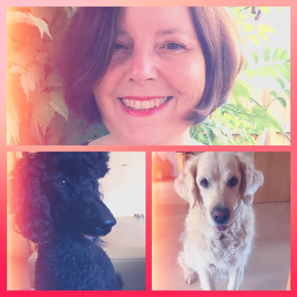 Andachtsbild von Stefanie