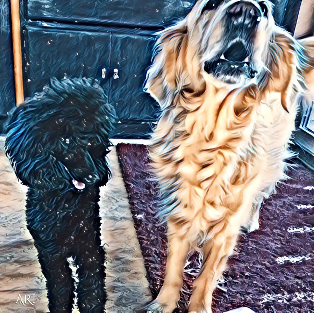 Andachtsbild von Stefanie