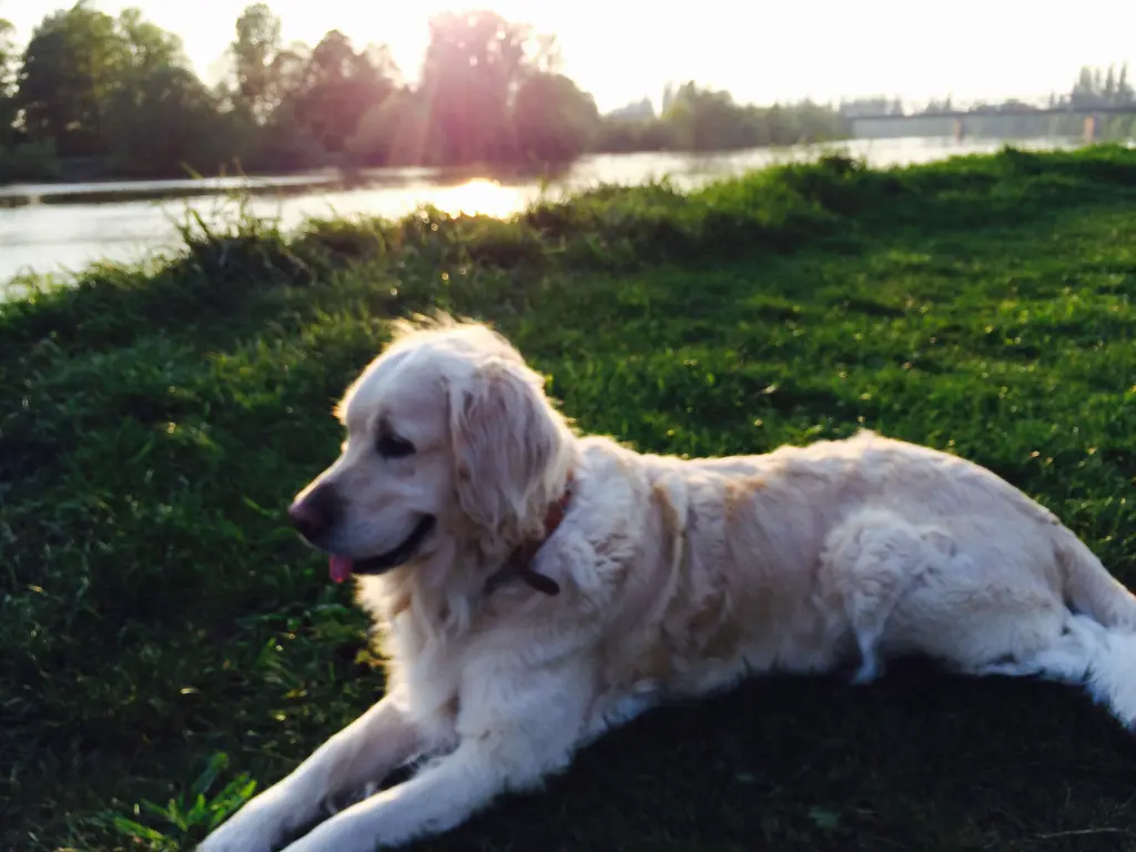 Andachtsbild von Stefanie