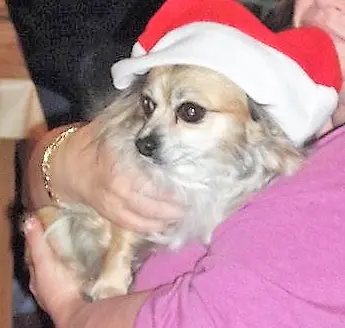 Condolence image of ilona