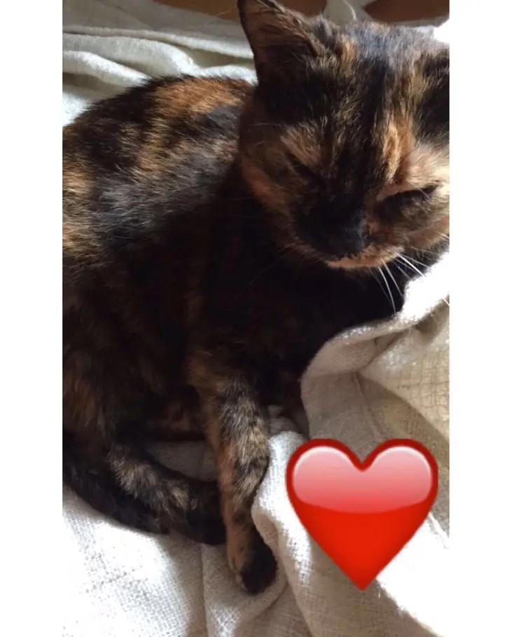 Image from Luna