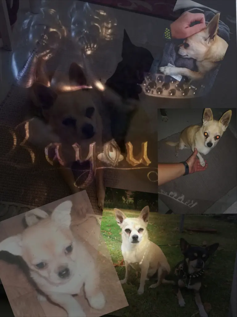 Condolence image of Monique