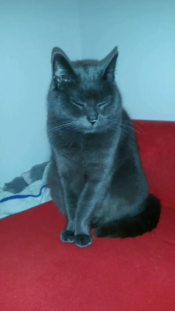 Condolence image of Sandra