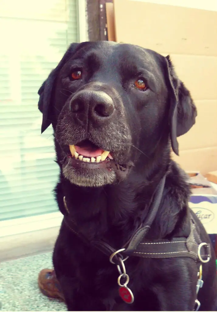 Andachtsbild von Thomas, Katja und Aeneas