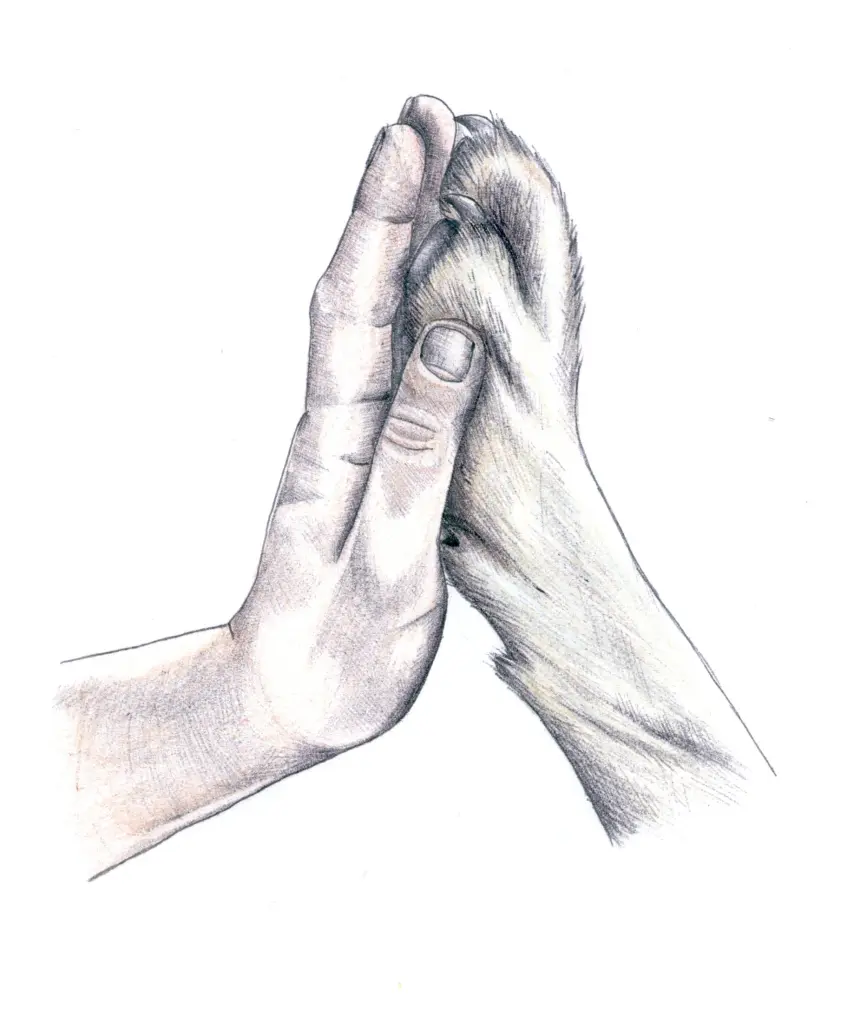 Image from Dag