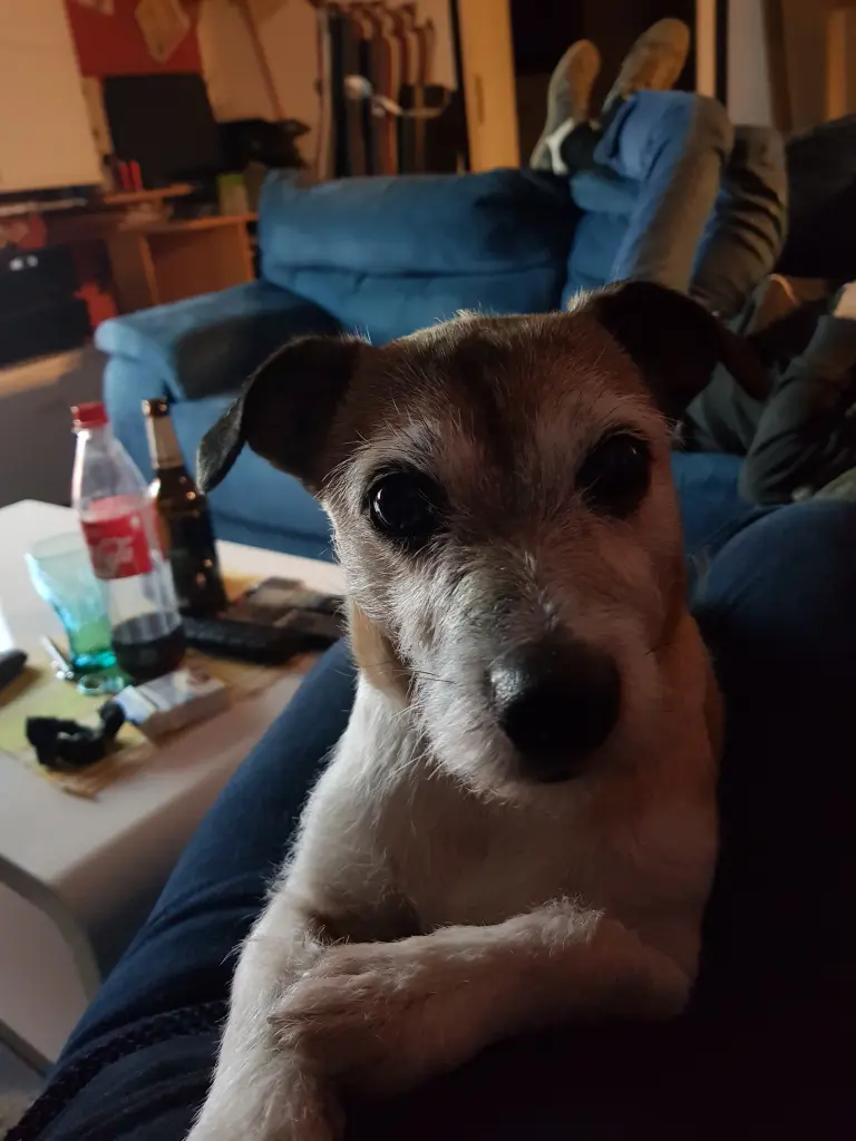 Image from Nicki
