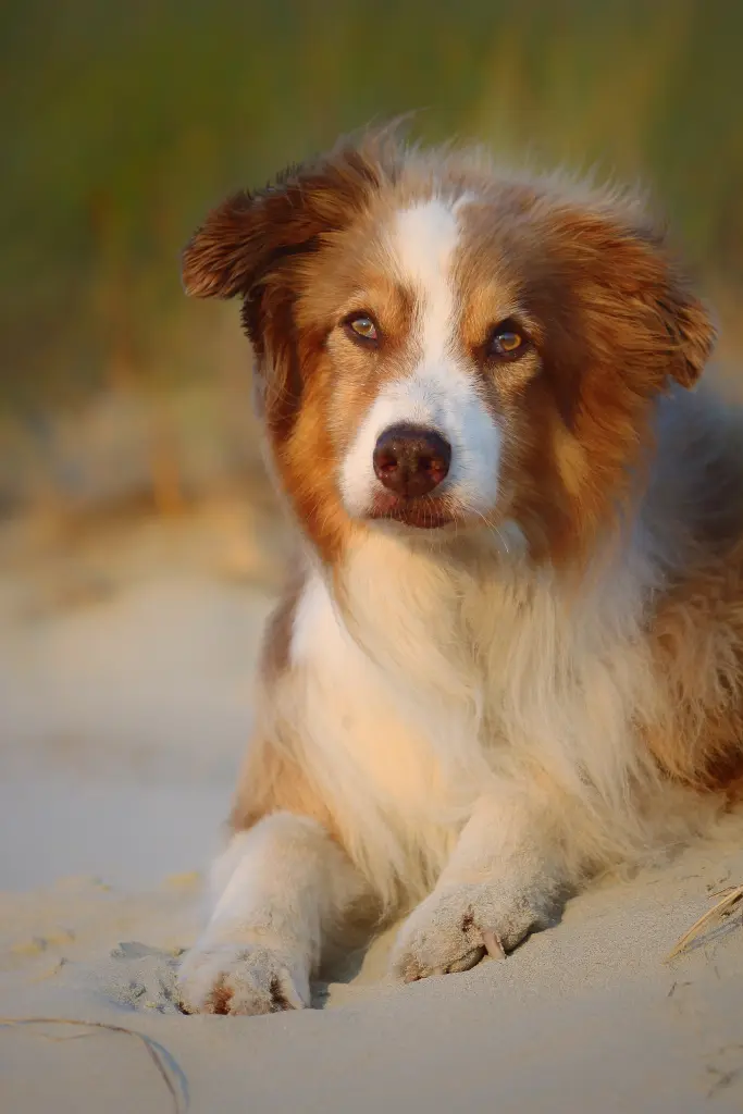 Image from Fynn