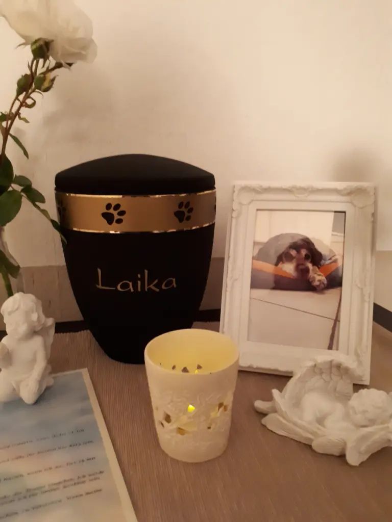 Condolence image of Bente Spendler