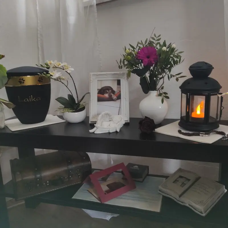 Condolence image of Bente Spendler