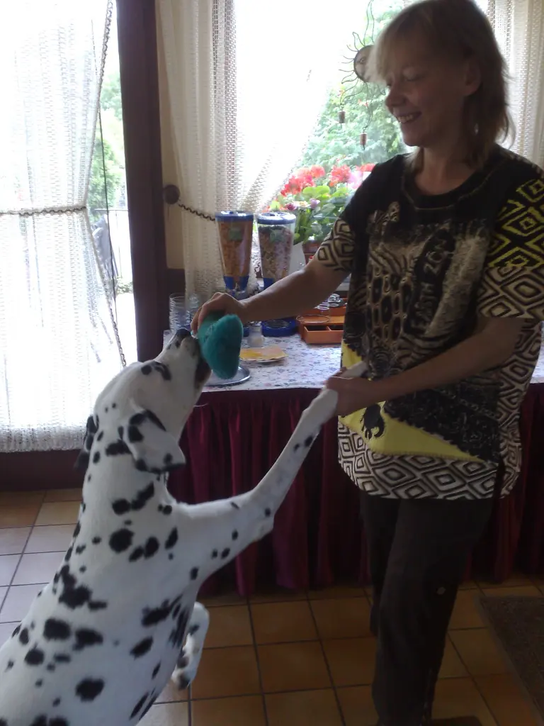 Image from Felino