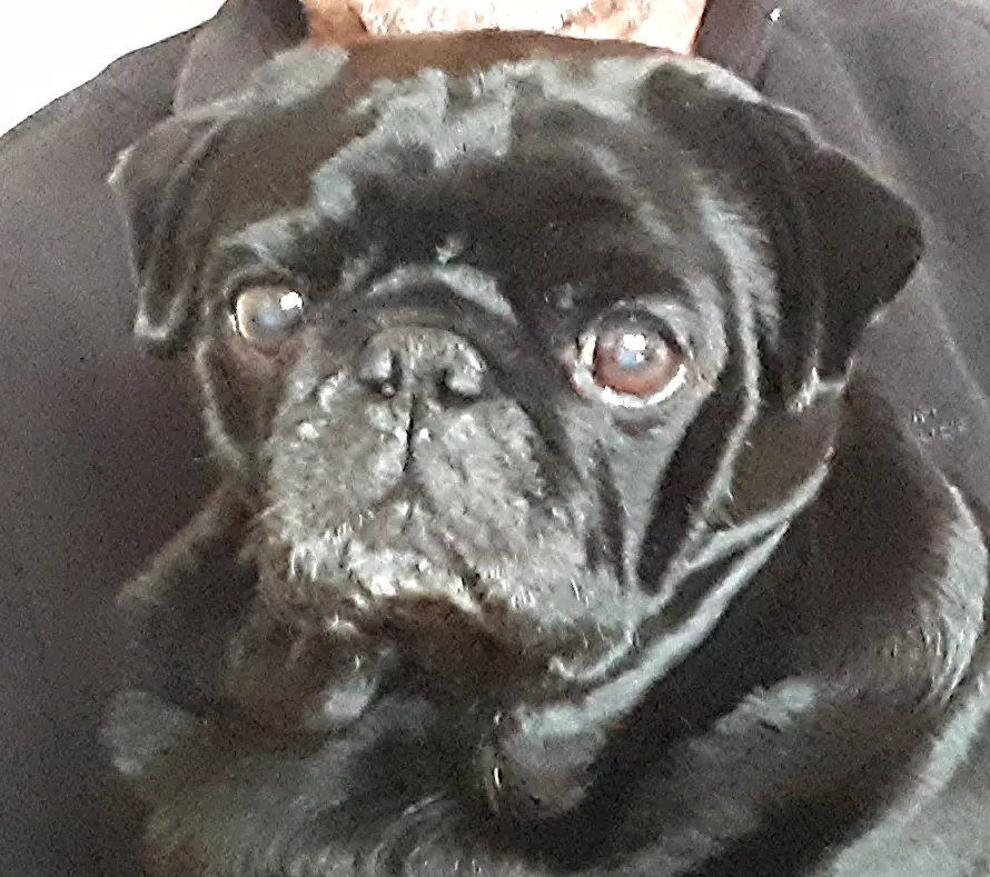 Condolence image of Sabine 