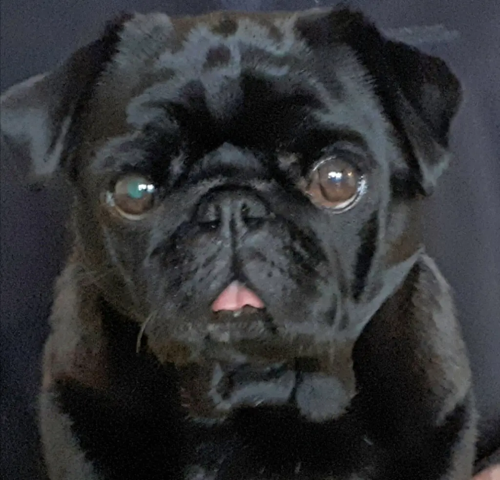 Condolence image of Sabine