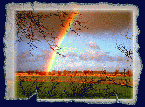 Image from Sternchen