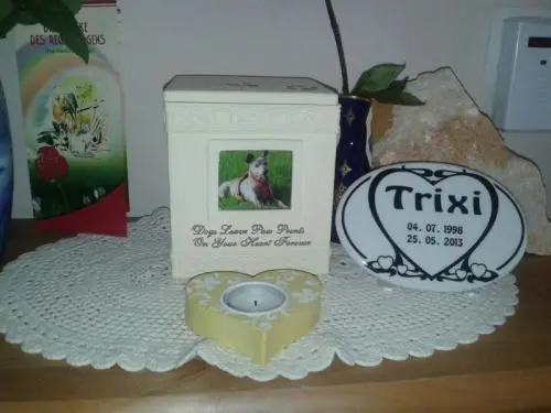 Image from Trixi