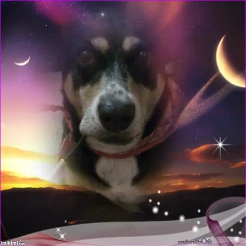 Image from Sally