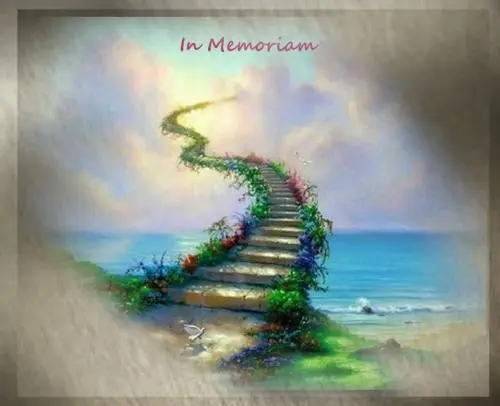 Image from Sternchen